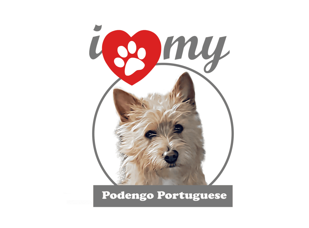 design i love my podengo design i love my podengo